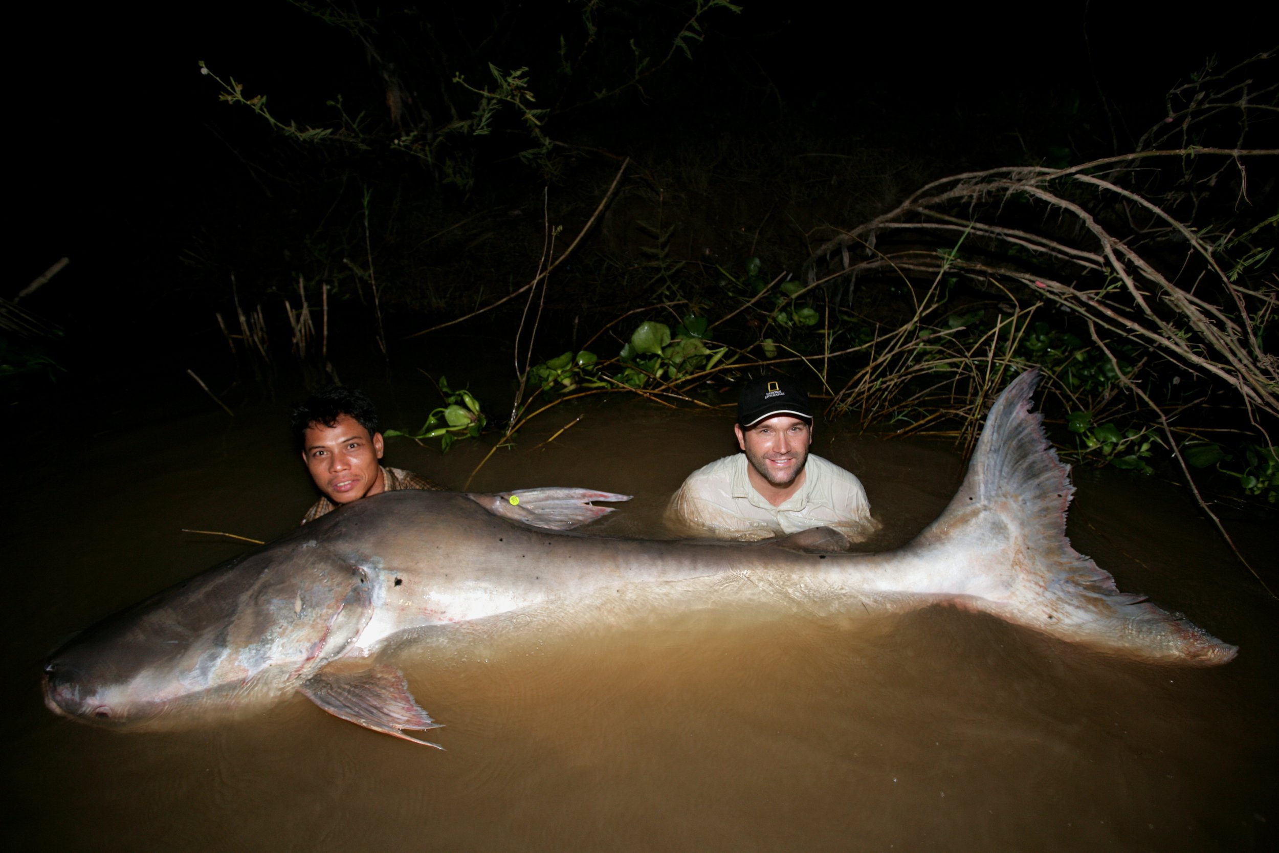 From the Colorado to the Mekong River, In Pursuit of Some Very Big